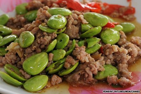 Đậu Sator dau sator