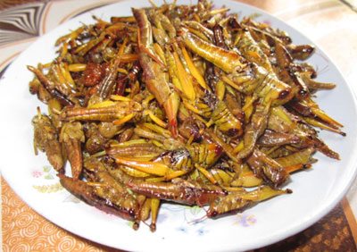Châu chấu rang chau chau rang