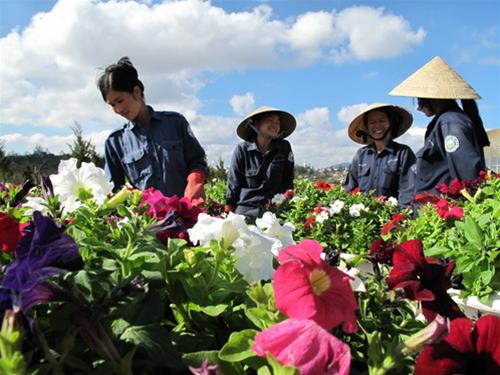 Chỉnh sửa hoa Chinh sua hoa