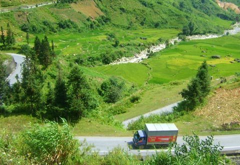 Đi giữa ngàn xanh di giua ngan xanh