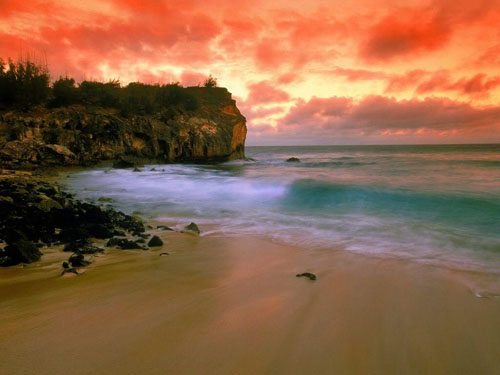 ngam hoang hon tu hawaii