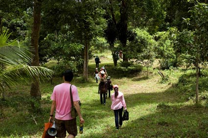 Rừng quốc gia Côn Đảo rung quoc gia con dao