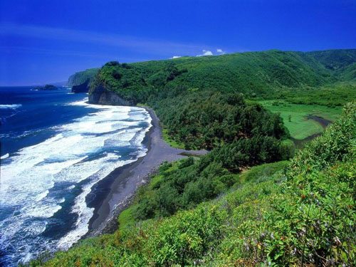 toan canh hawaii