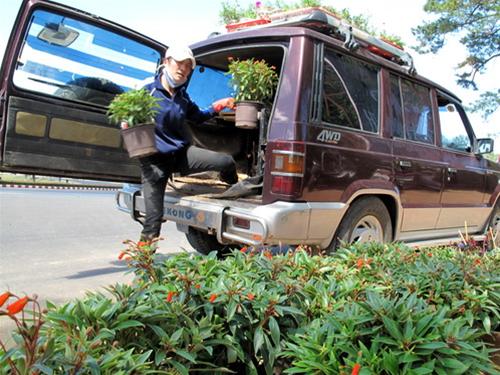 Vận chuyển hoa Van chuyen hoa