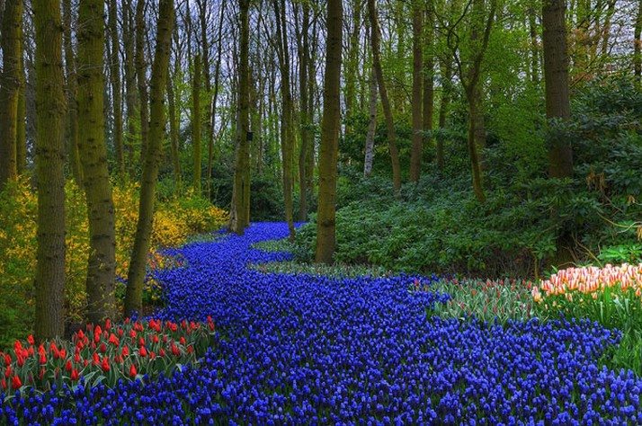 vuon keukehof