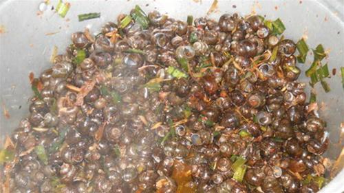 Ốc Hương An oc huong an