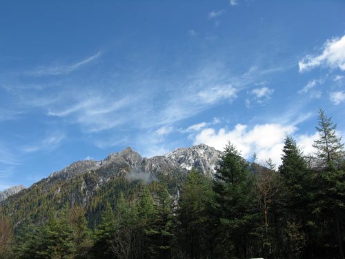 cuu trai cau