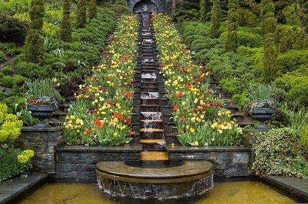 Đảo hoa Mainau dao hoa mainau