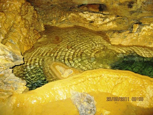 day hang nhu nhung dong tien cu