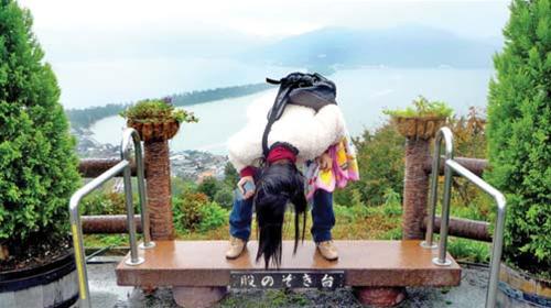 Kiểu “ngắm ngược” Amanohashidate kieu ngam nguoc amanohashidate