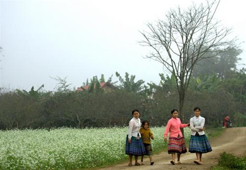 Một ngày bình dị như mọi ngày mot ngay binh di nhu moi ngay