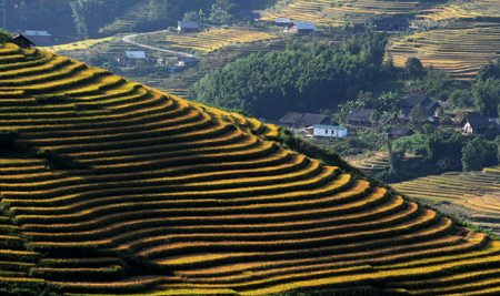 Nắng sớm ở Sa Pả nang som o sa pa