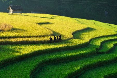 Nắng sớm Tú Lệ. nang som tu le