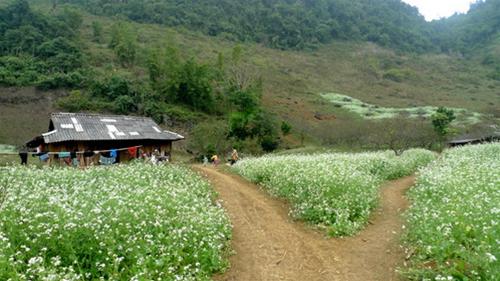 Ngôi nhà của người Mông Ngoi nha cua nguoi mong