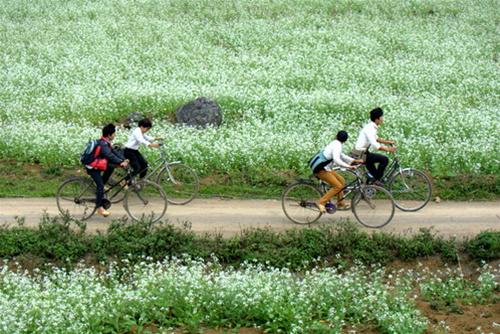 Những chú bé tan học nhung chu be tan hoc
