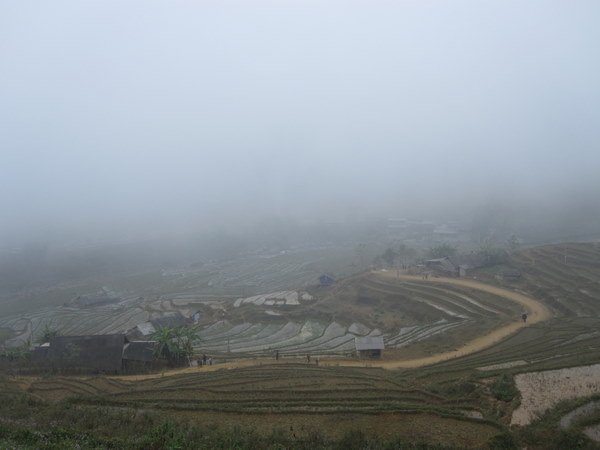 Ruộng bậc thang mùa đông ruong bac thang mua dong
