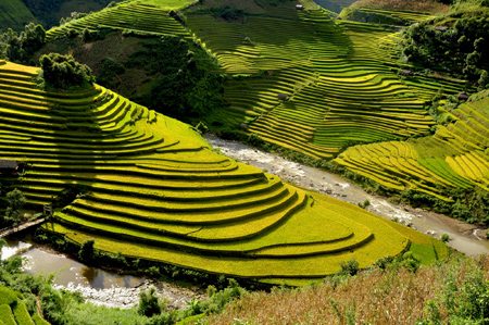 Ruộng bậc thang ở Mù Căng Chải ruong bac thang o mu cang chai