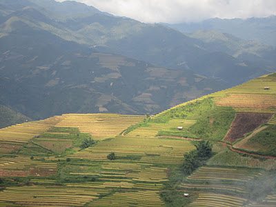 Ruộng bậc thang tại Mù Căng Chải ruong bac thang tai mu cang chai