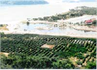 dam_nha_phu
