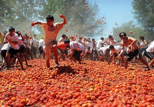 Du lịch lễ hội cà chua Chile rat nhieu nguoi dan va khach du lich tham du le hoi ca chua o quillon, chile