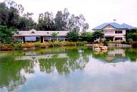 thap_ba