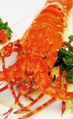 Du lịch ẩm thực Đà Nẵng 3 Tôm biển Đà Nẵng