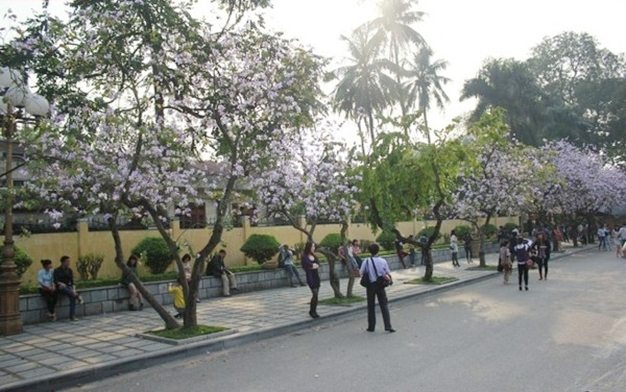Du lịch tháng 3 - Hà Nội 1 du lich ha noi vao thang 3 1