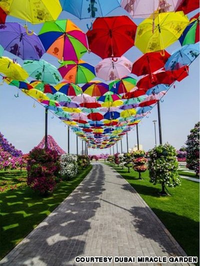 Khách du lịch thích thú khi lạc vào thế giới hoa tự nhiên khach du lich thich thu khi lac vao the gioi hoa tu nhien