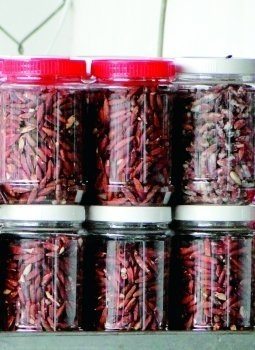Món mứt hạt bàng không thể bỏ qua mon mut hat bang khong the bo qua