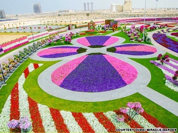 Nhìn ngắm công viên hoa tự nhiên khi du lịch ở Dubai nhin ngam cong vien hoa tu nhien khi du lich o dubai