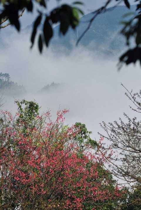 Du ịch tiên cảnh Sapa 1 du lich tien canh o sapa 1