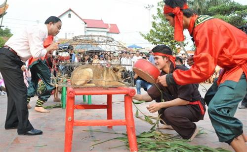 Thi chọc chó o le hoi con co cuoc thi choc cho