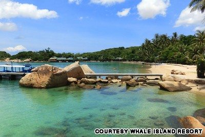 Khu nghỉ dưỡng Whale Island du lich khanh hoa nghi duong tai whale island