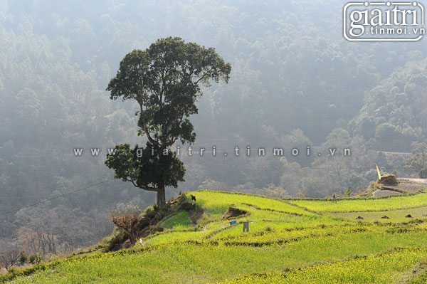 Cảnh đẹp bhutan cung duong nay cung co nhung noi hao hao tay bac viet nam