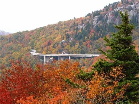 Cây cầu Linn cove viaduct giữa thiên nhiên cay cau linn cove viaduct lac giua thien nhien