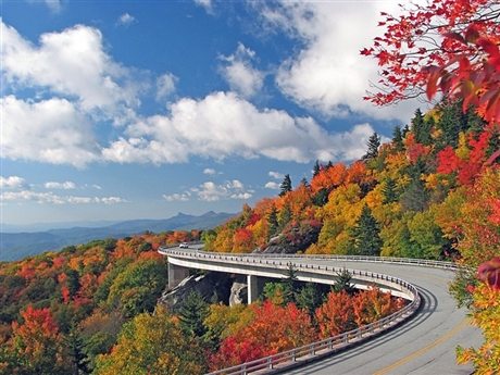 Cây cầu Linn Cove Viaduct cay cau linn cove viaduct