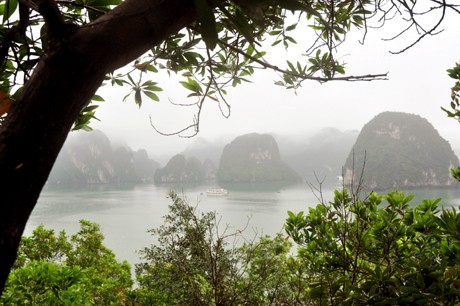 Đảo Ti Tốp dao ti top xinh dep o khu du lich vinh ha long