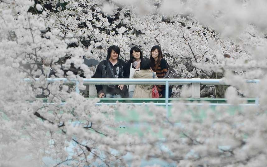 lễ hội Hanami moi nguoi dan nhat ban coi thoi gian cua le hoi hanami la cho viec vui choi giai tri