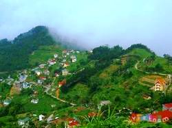 Tam Đảo - Vĩnh Phúc den vinh phuc tham quan khu du lich tam dao