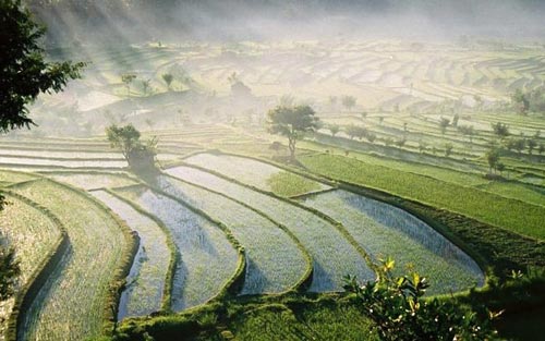 Cảnh đẹp ở Bali canh dep o Bali