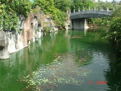 lac canh Dai Nam