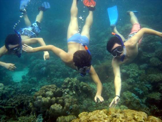 Đảo Coron thiên đường môn lặn Dao Coron thien duong mon lan