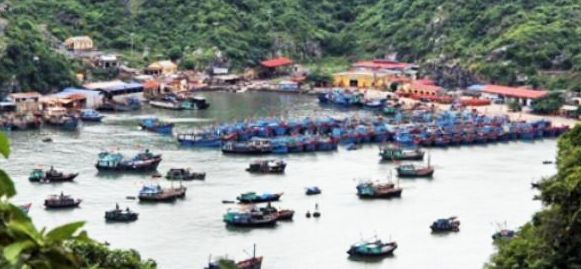 Di chi cai Beo o Hai Phong