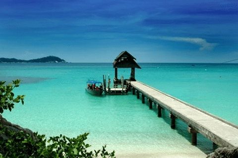 Nàng tiên rồng Tioman Nang tien rong Tioman