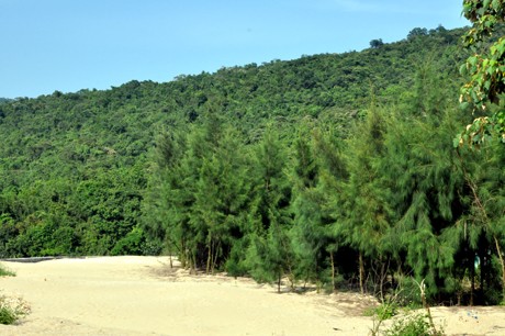 Vịnh Bái Tử Long Vinh Bai Tu Long