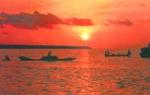 mui ca mau