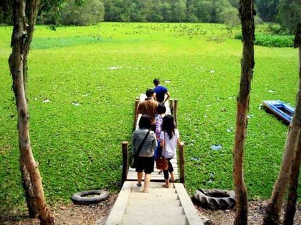 Vẻ đẹp bình dị xứ An Giang ve dep binh di xu An Giang
