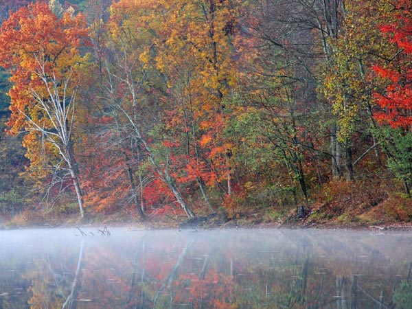 Chiêm ngưỡng lá thu đẹp ở Nam Wisconsin Chiem nguong la thu dep o Nam Wisconsin