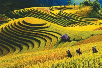Du lich den Lao Cai