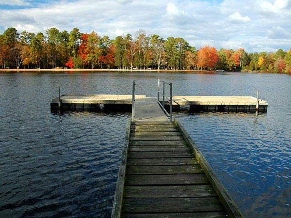 Lá chuyển màu ở New Jersey La chuyen mau o New Jersey